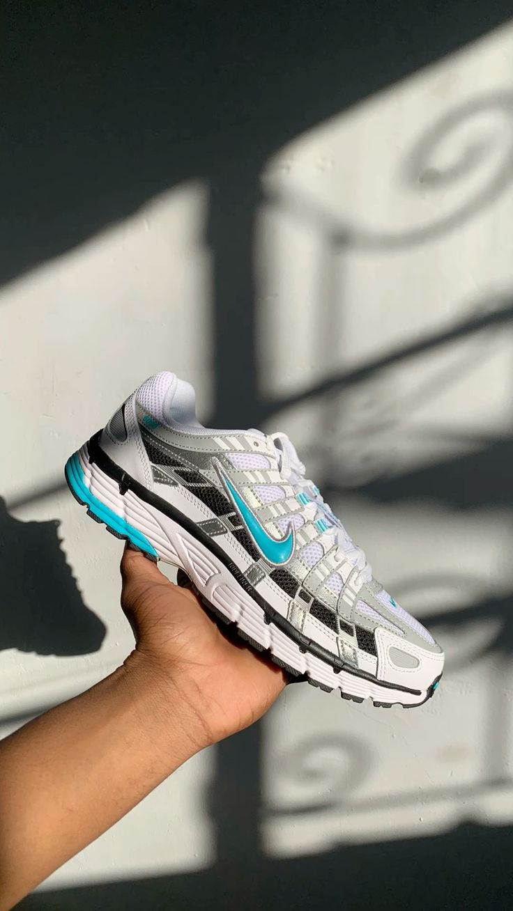 Nike P-6000 Dusty Cactus